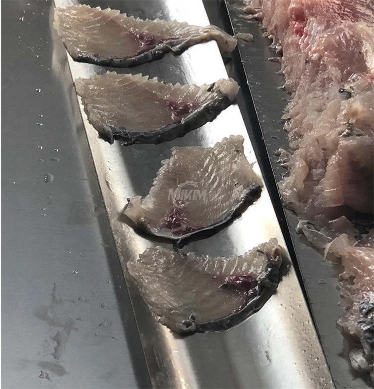 Fish Filleter Machine