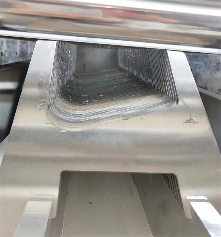 Fish Filleter Machine